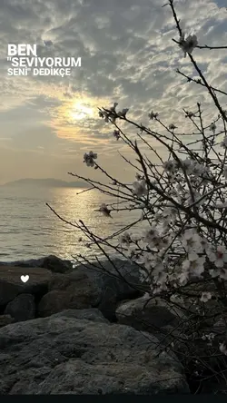 Yeni şablon 
