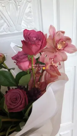 daily story