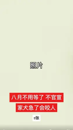 八月不用等了 不官宣｜5张