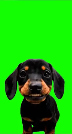 Nome vai ser JOSÉ 