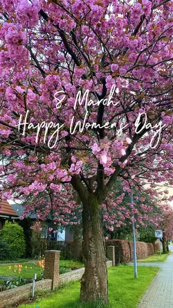 8. March🌸