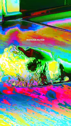 matcha filter new