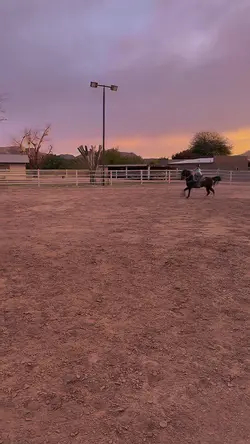 out in AZ