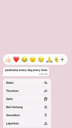 pashmina everyday