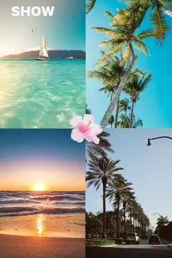 Summer>>