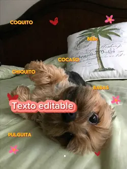 Apodos ♥️