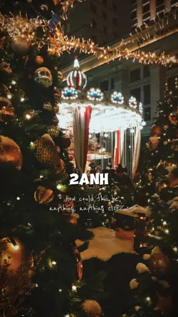 merry Christmas 2ảnh