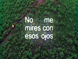 IMPACTO