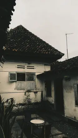 Suci dalam debu