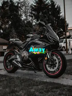 one day mashup