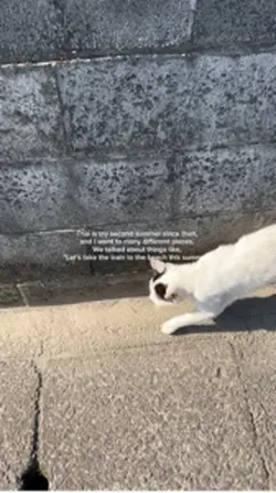 ムーンライトステーション