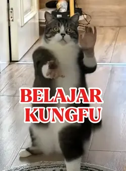 Belajar kungfu!!?
