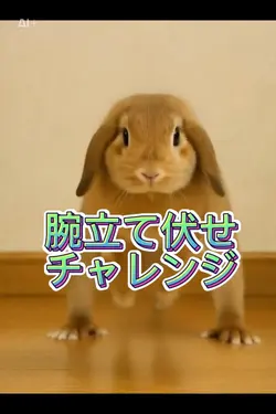 腕立て伏せチャレンジ