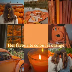 Orange🧡