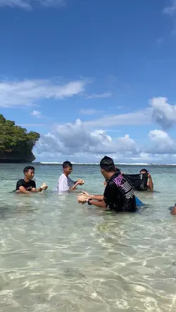 Vlog video