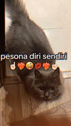 PESONA DIRI SENDIRI