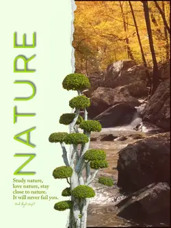 NATURE EDITS