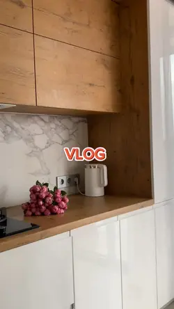 Vlog
