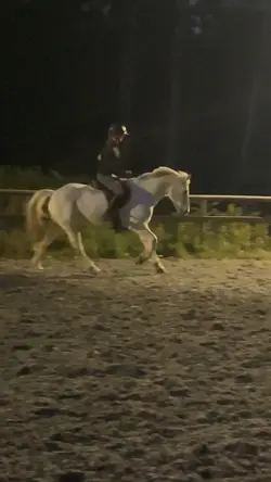 This horse 😍