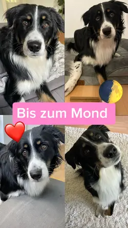 Bis zum Mond ❤️🌓