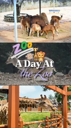 A day at the zoo