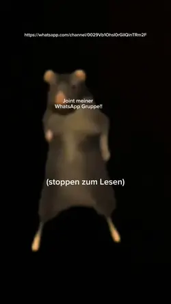 wa gruppe
