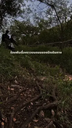 เดินป่า เดินเขา