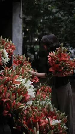 Ở trong khu rừng