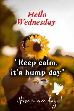 Hello Wednesday 