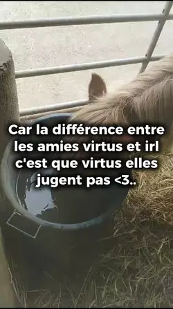amitié virtuelle