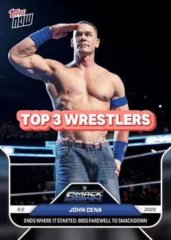 Favourite Wrestlers