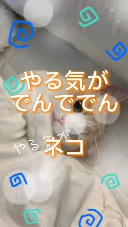 やる気がでんででん