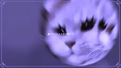 貴方がフォローしてる
