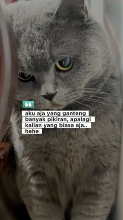 Story gabut