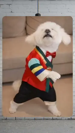 dog dance trend