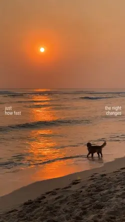 Night Changes