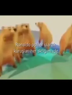 ronaldo pp