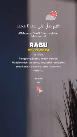 status harian