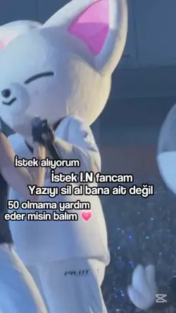 I.N fancam 