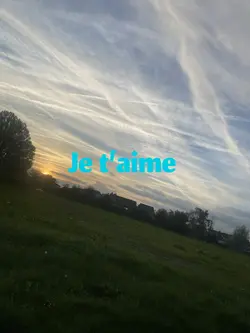 Je t’aime 