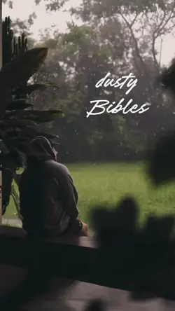 Dusty bibles