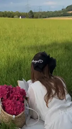 daily video dump 