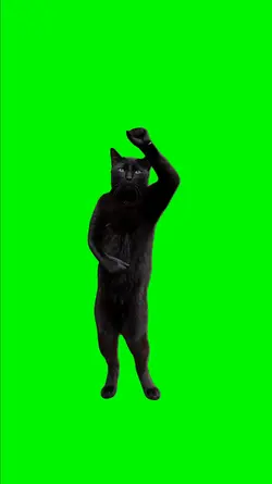 Pega Pega Cat