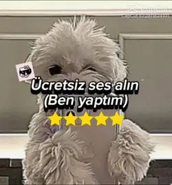 Ses Yaptımmm Nasull