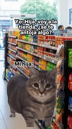 Gato cantando 🐱🎤