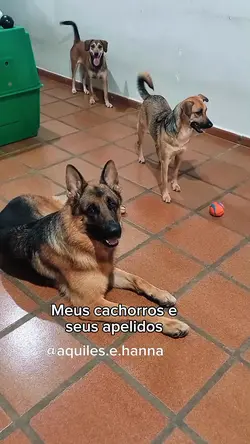 Apelidos dos cães 
