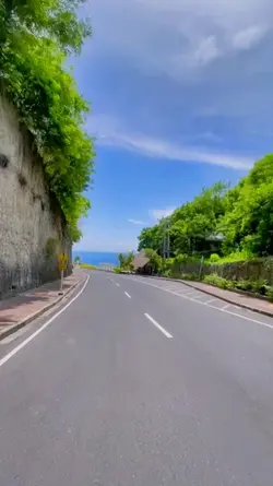 1 clip video