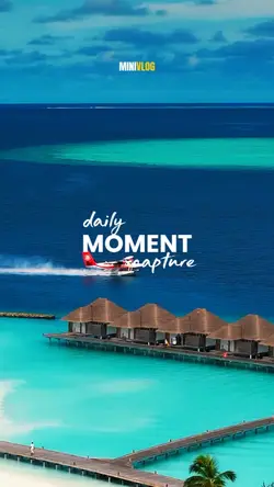 daily moment capture