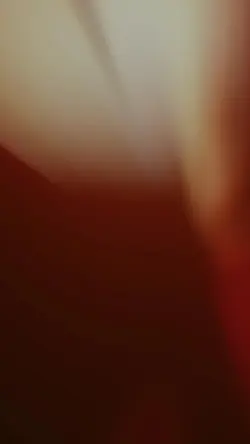20.10.2023