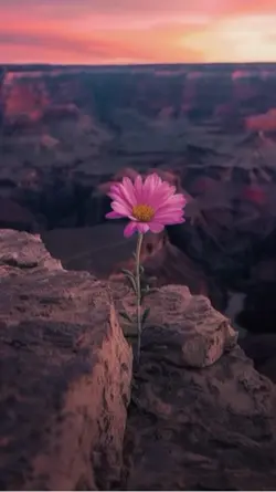 Simple 4 video clips